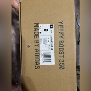 Yeezy boost 350